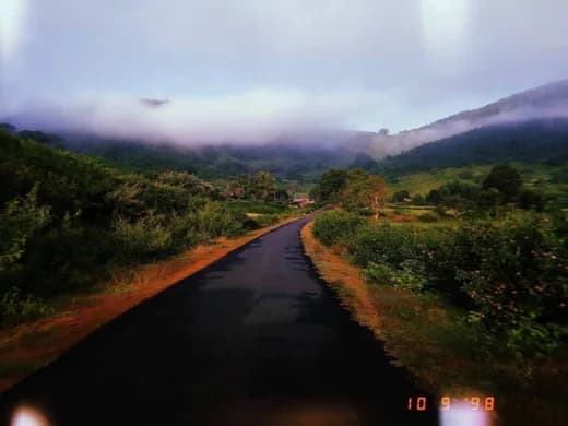 misty mountain road at dawn, shot on a film-date camera